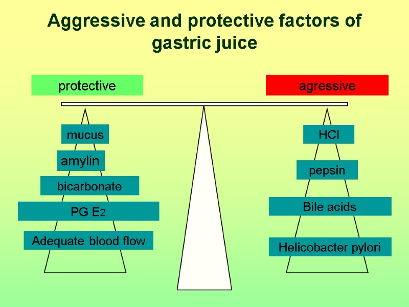 mucus bicarbonate PG Е2 Adequate blood flow HCl pepsin Bile acids Helicobacter рylori agressive